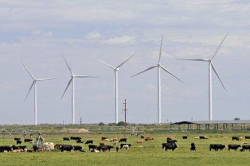 The Wildcat wind farm