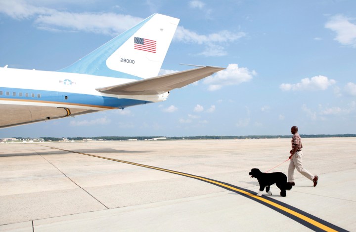 Dog Bo is put on Air Force One as Obama departs Washington for his vacation on Martha's Vineyard