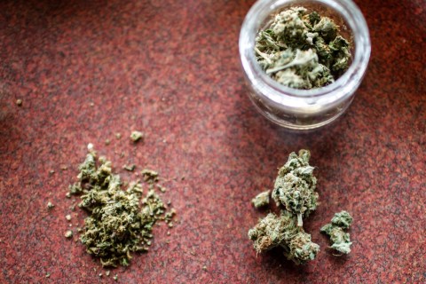 Marijuana is broken up for use by customers at Frankie Sports Bar and Grill in Olympia, Washington, Dec. 9, 2012. 