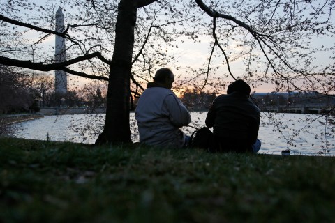 People drink coffee under cherry blossoms as the sun rises along the Tidal Basin in Washington